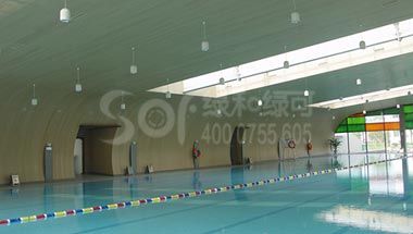 山东济宁市体育馆生态木吊顶墙板