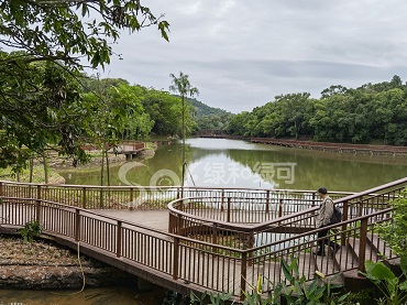 深圳平湖生态园竹木地板